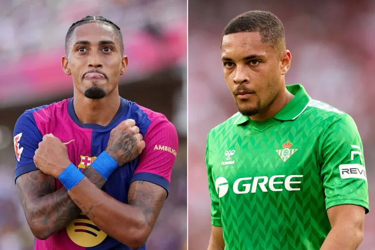 Untitled 22 1733514436